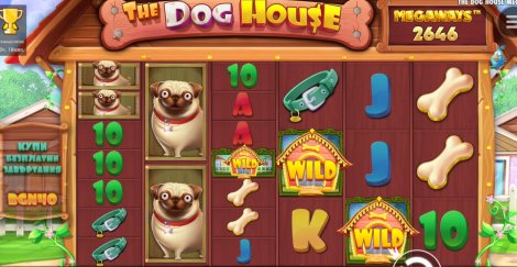 The Dog House Megaways