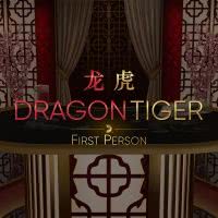 First Person Dragon Tiger