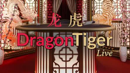 First Person Dragon Tiger