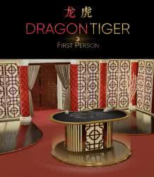 First Person Dragon Tiger
