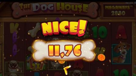 The Dog House Megaways